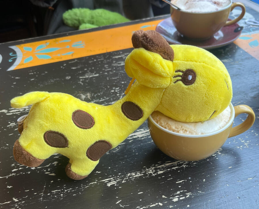 Giraffe in Coffee Cup on a date